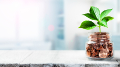 Accountancy - Pre Audit